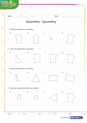 Identify Symmetry with Shapes