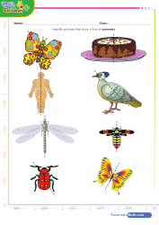 Symmetry Symmetry with Shapes