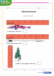 Measurements Using Tapes Rulers