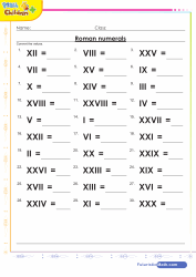 Roman Numerals Up to 20