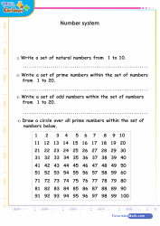 Number System