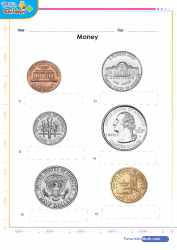 Money Coins USD Addition of Coins